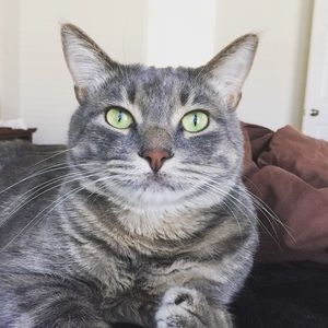 Meet your Posher, Lisa